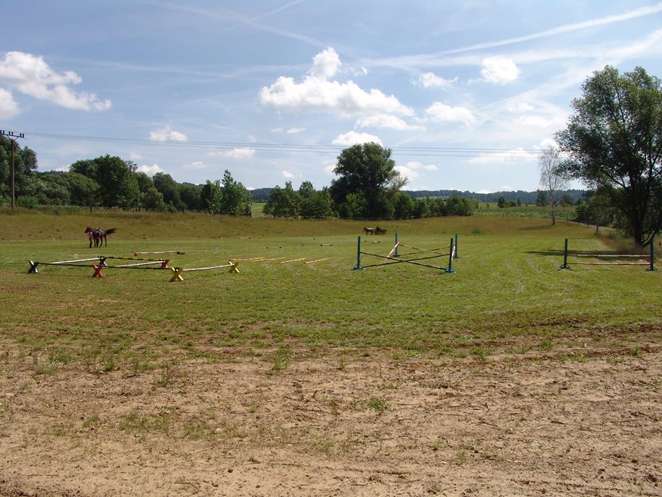 http://www.farmakotelsko.cz/images/kone/na web/KONE1.jpg